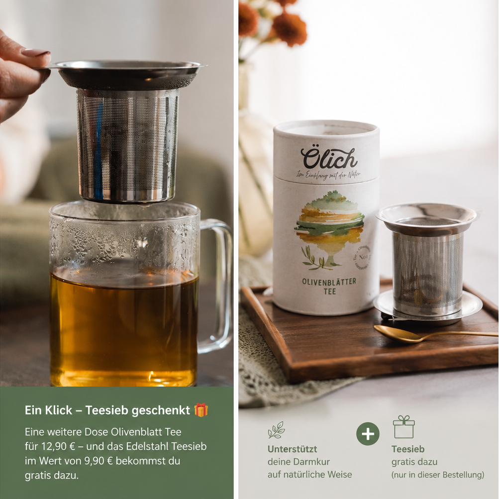 Ölich Olivenblatt Tee + Edelstahl Teesieb
