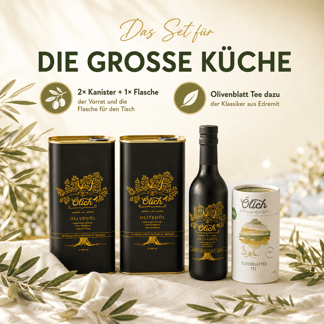 Ölich Olivenbaum Kraft