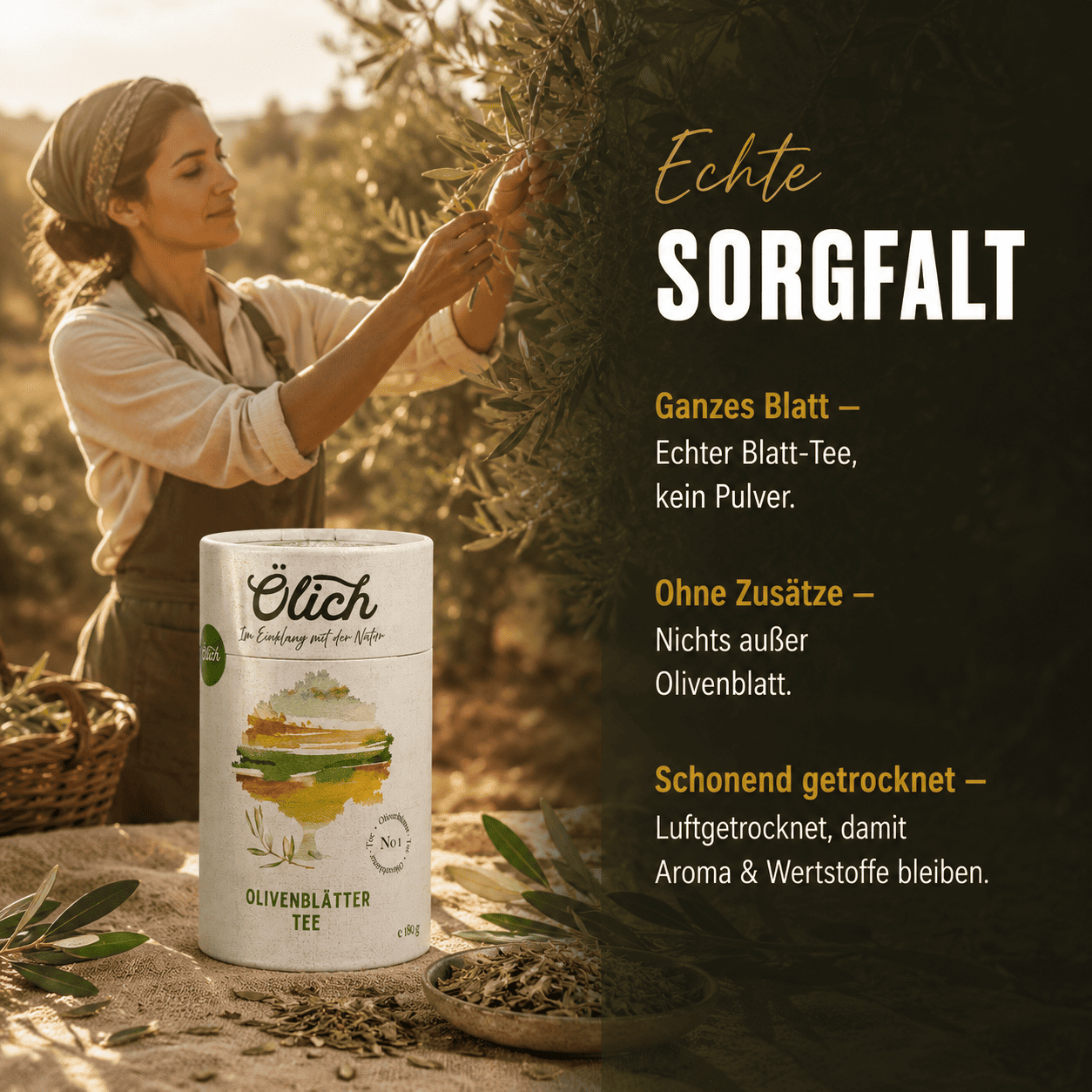 Ölich Olivenblatt Tee - Ölich